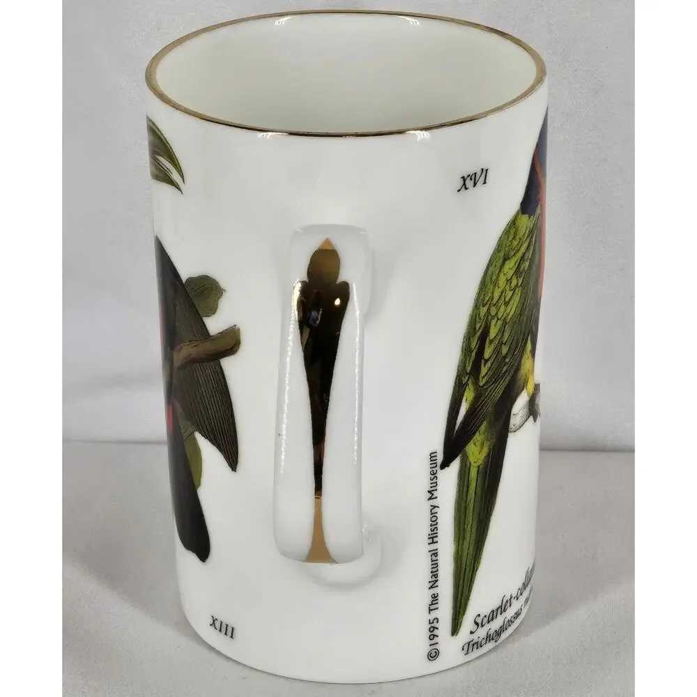STAFFORDSHIRE VINTAGE TABLEWARE MUG – XVI, XX, XIII PARROTS & PARAKEETS SERIES